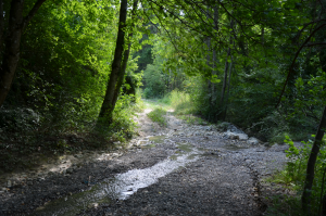 chemin cascade2