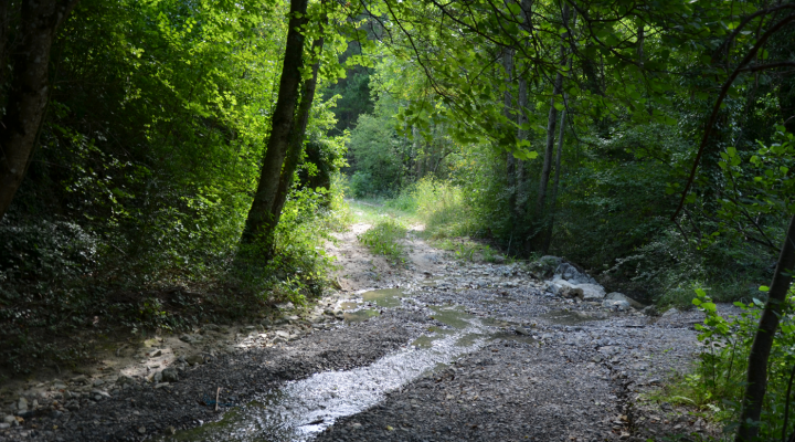 La rivière raconte